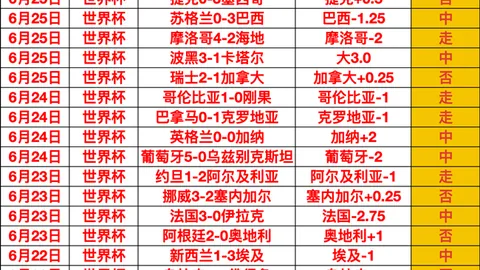国际足联2026世，足球投注，界杯投注平台 094535 8